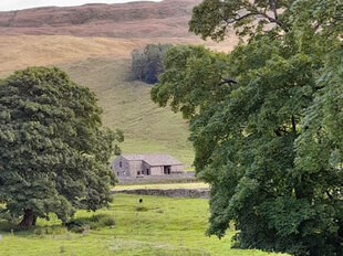 barn-and-trees-600.jpg